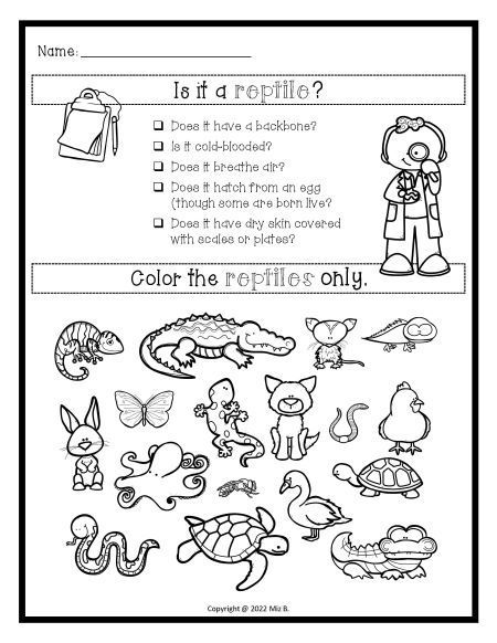 Biology printable to assess students' knowledge of reptile traits while working on fine-motor skills. Science. Preschool, PreK and Kindergarten. Reptiles Kindergarten, Reptile Drawings, Reptiles Preschool, Reptiles Activities, Science Center Preschool, Hello Literacy, Free Printable Alphabet Worksheets, Printable Alphabet Worksheets, Kindergarten Phonics Worksheets