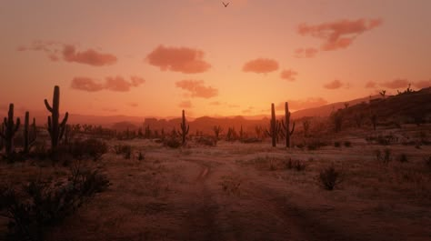 Desert Aesthetic, See You Space Cowboy, House Of The Rising Sun, Cowboy Aesthetic, Red Dead Redemption Ii, Western Landscape, The Dark Tower, Scrapbook Printing, Door Murals