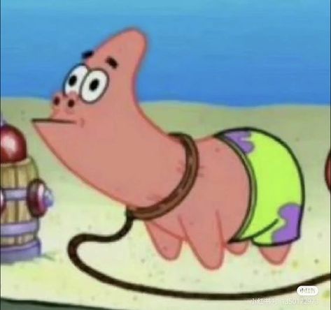 Patrick Star Meme, Ja I Ty, Spongebob Funny Pictures, Spongebob Faces, Spongebob Pics, Spongebob Drawings, Meme Random, Spongebob Funny, Reaction Images