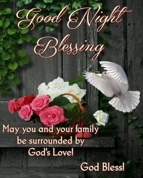 Blessed Good Night, Good Night God Bless, Blessed Night, Good Night Gif, Good Night Blessings, Night Images, Inspirational Bible Verses, God Bless You, God Bless