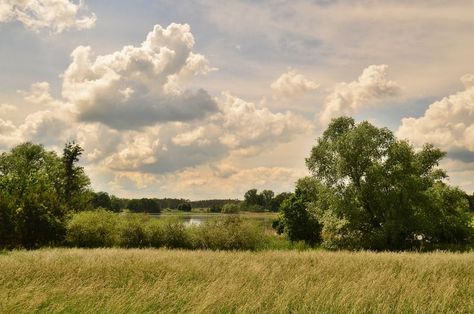 Panorama Photography Landscapes, Field Reference, Grassy Landscape, Spring Landscape Photography, Background For Desktop, Background Outside, Nature Landscape Pictures, Pastoral Landscape, European Landscape