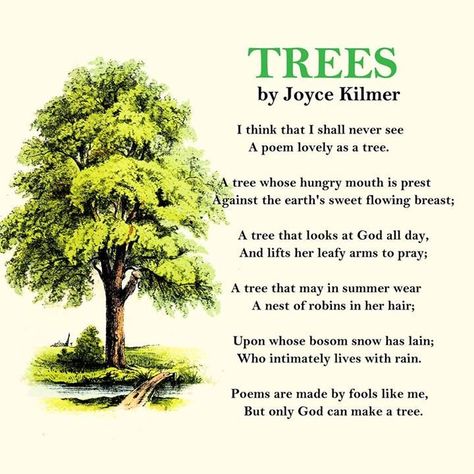 Joyce Kilmer - Trees- Poem - found on Bing Earth Day Slogans, Short Nature Quotes, Nature Quotes Trees, Joyce Kilmer, Tree Poem, Poems In English, Tree Quotes, World Earth Day, Beautiful Sayings