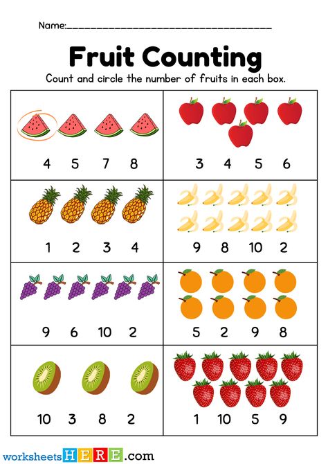 Fruits Counting, Count and Circle the Number of Fruits PDF Worksheet For Kindergarten - WorksheetsHere.com 4 Bananas, Crab Apples, Damson Plum, Worksheet For Kindergarten, Bing Cherries, Finger Lime, Navel Oranges, Worksheet For Kids, Pink Banana