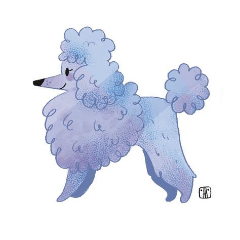 Dog Illustration Art, Poodle Drawing, Dog Socks, Funny Illustration, Daily Drawing, Dog Illustration, Animal Sketches, Poodle Dog, Dog Drawing