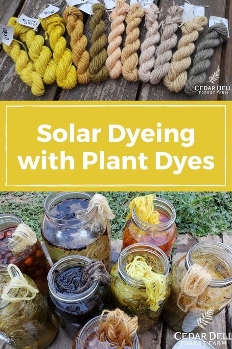 Dyeing Yarn With Natural Dyes, Natural Yarn Dyeing, Lichen Dye, Solar Dyeing, Eco Dyeing Fabric, Tinta Natural, Flower Dye, Forest Farm, Fabric Dyeing Techniques