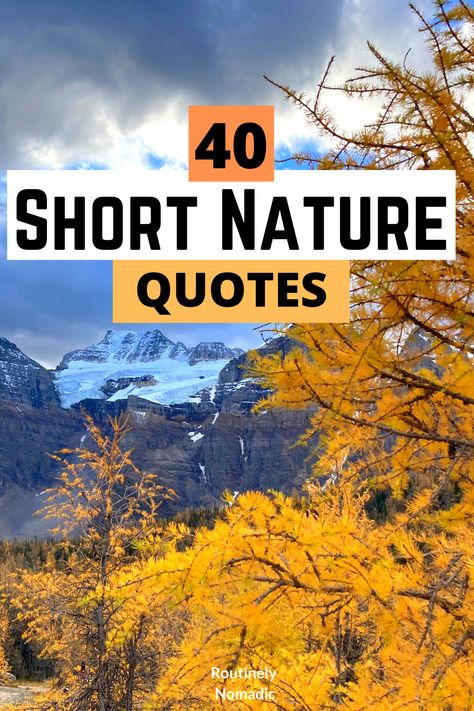 Live In Nature Quotes, Finding The Beauty Quotes, Who Would Have Thought Quotes, Be With Nature Quotes, Nature And Art Quotes, Nature Loving Quotes, Nature Quotes One Word, Nature Is My Therapy, Nature Inspiration Quotes