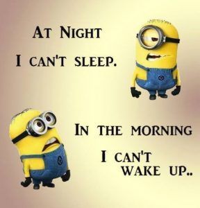 Minion Meme, I Can't Sleep, Funny Minion Pictures, Funny Minion Memes, Minion Pictures, Minion Jokes, Whatsapp Videos, Can't Sleep, Quote Of The Week