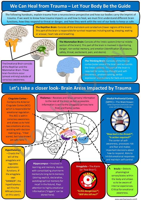 Schema Therapy, Reptilian Brain, Brain Structure, Dissociation, Mindfulness Exercises, Self Regulation, Cognitive Behavioral Therapy, Low Self Esteem, Behavioral Therapy