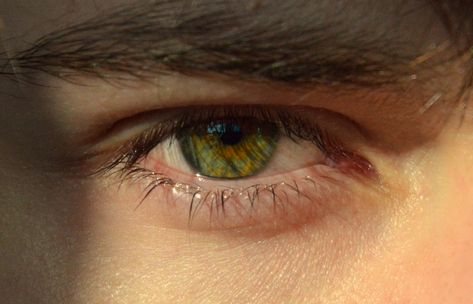 Guys With Green Eyes, Boys With Green Eyes, Olive Green Eyes, Green Brown Eyes, Dark Green Eyes, Brown Eye Boys, Brown Hair Boy, Hazel Green Eyes, Brown Hair Green Eyes