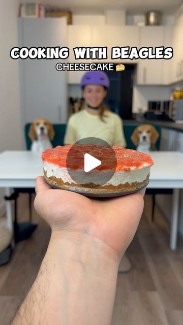 Kiki & Koko | Beagles 🐶 on Instagram: "Mum came READY this time 💪🏼😎

This was definitely the STICKIEST cooking session 🤣🤣 Give a beagle a teaspoon of peanut butter and they’ll love you FOREVER! 

Would you try this recipe for your dog? You can find the full recipe on @hundeoapp 

#beagle  #viral #viralvideos #dog #funnydog #cookingwithbeagles #cookingwithdog #dogparent #naughtybeagle" Cooking With Beagles, Beagle Funny, Beagle Puppy, Dog Parents, Love You Forever, You Tried, Funny Dogs, Peanut Butter, Peanut