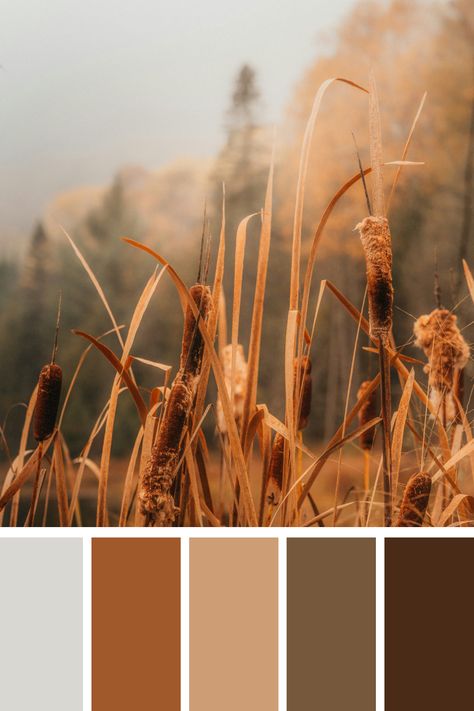 Pastel Brown Tone Color captures dried cattails in a misty field. The soft browns and muted oranges of the cattails, combined with the hazy background, evoke a sense of calm and nostalgia. The overall earthy tones emphasize the natural, rustic beauty of the scene. Pastel Earthy Color Palette, Autumn Muted Color Palette, Color Scheme Generator, Earth Colour Palette, Color Generator, Earth Tone Color Palette, Soft Autumn Color Palette, Earth Tone Color, Green Color Schemes