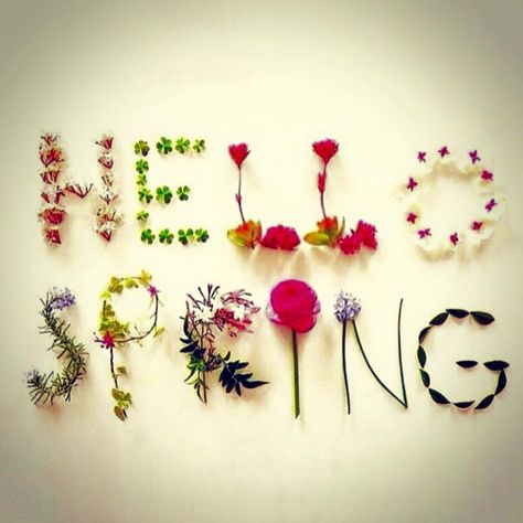 Happy 1st day of Spring my darlings! XoXo -WYNK  #wynkboutique #xoxo #hellospring #2015 #march #flowers #nebraska #spring Difficult People Quotes, Happy 1st Day Of Spring, 1st Day Of Spring, Spring Cleaning Hacks, 1st Day, Hello Spring, Spring Cleaning, Day Off, Hoop Wreath