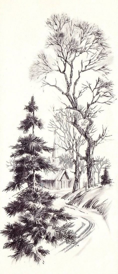 Quick nature sketch Tre Kunst, Landscape Pencil Drawings, Pencil Trees, Nature Sketch, Drawing Hands, Tree Sketches, Tree Drawings Pencil, Landscape Sketch, Drawing Hair