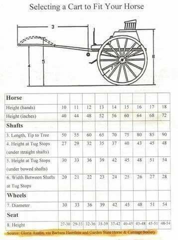 Selecting a cart to fit your horse Miniature Horse Driving, Mini Horse Cart, Pony Cart, Horse Driving, Driving Horses, Horse Farm Ideas, Horse Wagon, Mini Horses, Horse Shelter