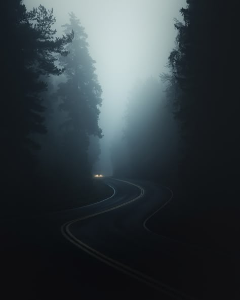 Dark Naturalism Aesthetic, Adventurecore Aesthetic, Todd Hido, Atmospheric Photo, Dark Naturalism, Magic Places, Dark Landscape, Dark Nature, Dark Paradise