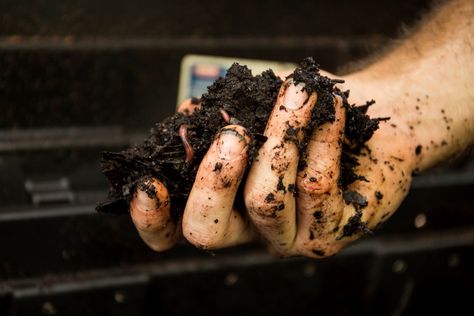 Manure Compost Bin, Manure Composting, Manure Management, Plant Leaves Turning Yellow, Horse Manure, Healthy Soil, Composting Process, Small Farms, Plant Zones