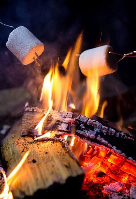 Day 313 - Campfire - A camp out is not complete without smores #photoaday #project365 #Brownies #GirlScouts #fire #Smores #Marshmallows S’mores Over Fire, Campfire Images, Smores Aesthetics, Up North Aesthetic, Boomerang Aesthetic, Campfire Photography, Marshmallow Aesthetic, Smores Marshmallows, Smores Night