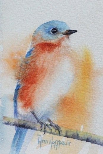 Ann Hoffpauir  WATERCOLOR Watercolour Pictures, Coffee Paintings, Bluebird Watercolor, Canvas Organizer, Pencils Case, Watercolor Pencil Art, Birds Watercolor, Soft Pastels Drawing, Painted Birds