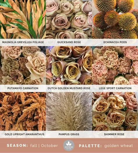 Mayesh Cooler Picks | Fall II Mayesh Cooler Picks Fall, Golden Mustard Rose Bouquet, Quick Sand Roses, November Flowers In Season, Golden Mustard Rose, Mayesh Cooler Picks, Quicksand Rose, Quick Sand, Shimmer Rose