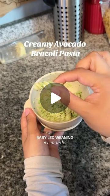 Avocado Pasta Sauce For Baby, Avocado Recipes For Babies, Avocado Baby Food Recipes, Avocado Baby Food, Avocado Sauce Pasta, Baby Pasta, Baby 6 Months, 9 Month Old Baby, Avocado Pasta