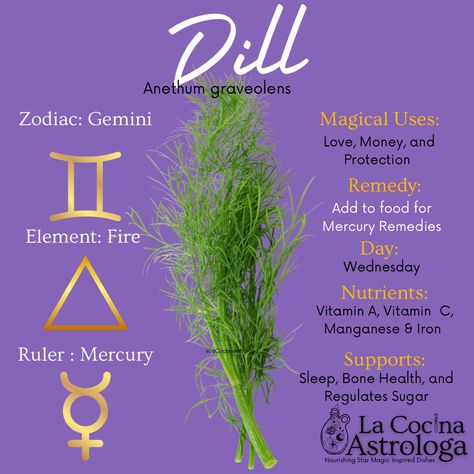 Add a little Dill to your life! Dill packs a punch in taste and also has great benefits. Dill corresponds to Mercury (Miércoles) and it’s a grea #Mercury Remedy #lacocinaastrologa #ariesfood #taurusfood #geminifood #cancerfood #leofood #virgofood #librafood #scorpiofood #sagittariusfood #capricornfood #aquariusfood #piscesfood #mercuryfoods #mercuryfood Star Magic, Bone Health, Planting Herbs, Manifestation Quotes, Us Foods, Astrology, Feel Good, Herbs, Benefits