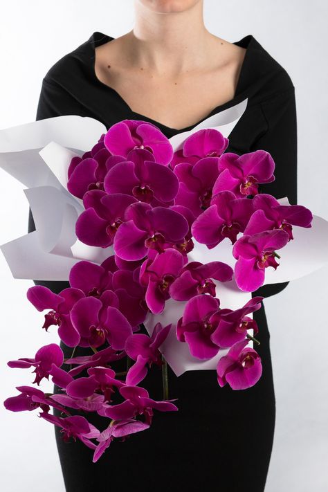 Our single variety en masse bouquets. Small Orchid Bouquet, Dark Orchid Bouquet, Minimal Orchid Bouquet, Single Stem Orchid Bouquet, Burgundy Orchid Wedding Bouquet, Big Chill, Phalaenopsis Orchid, Flower Shop, Orchids