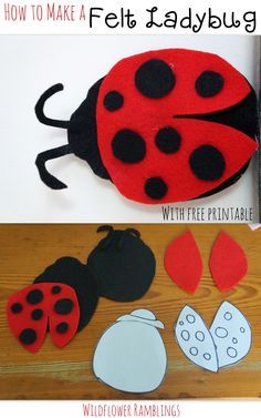 After a long hiatus, we are back with many more felt animals!  We are back with L is for Ladybug!!  It was between a lion and a ladybug and both my children chose ladybug so this one is very simple :)  You can find many more templates and how-to posts in our series: ABC Felt Animals....Read More » L Is For Ladybug, Felt Ladybug, Diy Felt Crafts, Ladybug Felt, Felt Plushies, Easy Felt Crafts, Felt Templates, Felt Boards, Animal Templates