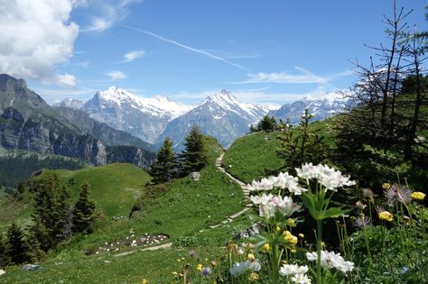 Lauterbrunnen Switzerland, Foods To Try, The Heart, Landscape Elements, Quaint Village, Train Ride, Concept Board, The Alps, Train Rides