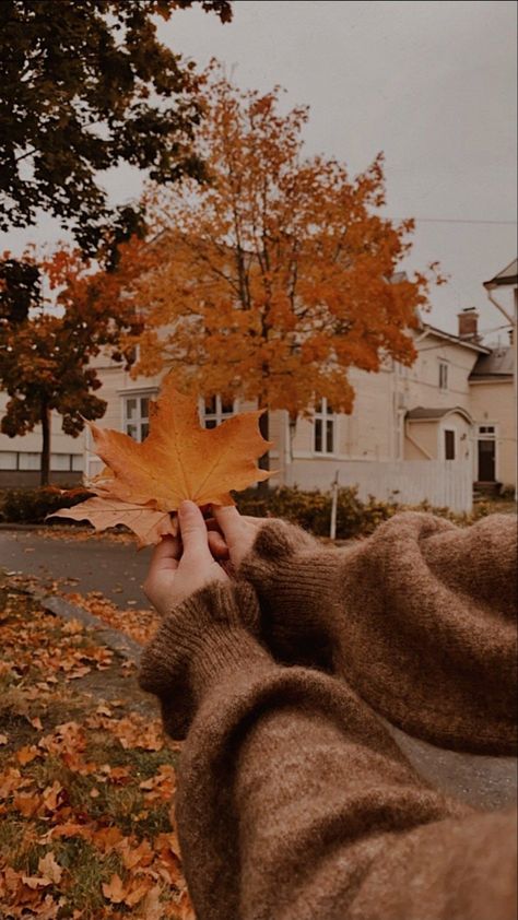 Abigail Core Aesthetic, Autumn Core, Autumn Pictures, Fall Mood Board, Fall Mood, Autumn Magic, Halloween Wallpaper Iphone, Autumn Scenes, Winter Love