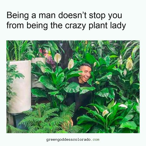 Plant Humor, Plant Jokes, Gardening Memes, Seed Growing, Being A Man, Gardening Humor, Plants Are Friends, Plant Parent, Crazy Plant Lady