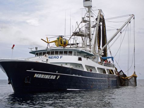 Tuna company, fishermen and environmental groups squabble over ... Tuna Boat, Fishing Pontoon Boats, Fishing Organization, Tuna Fishing, Boat Drawing, Eco Hotel, Fishing Vessel, Pontoon Boat, Fishing Boat