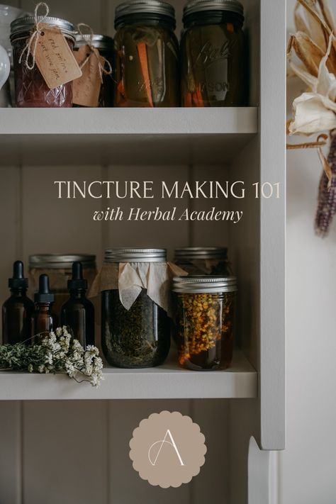 Learn how to make high quality herbal tinctures to stock your home apothecary shelves + keep your family well all winter long #apothecary #pantry #herbalism #wellness #cottagecore In Home Apothecary, Home Apothecary Aesthetic, Home Apothecary Ideas, Medicinal Apothecary, Herbal Apothecary Recipes, Apothecary Crafts, Herbal Pantry, Herbology Aesthetic, Apothecary Shelves