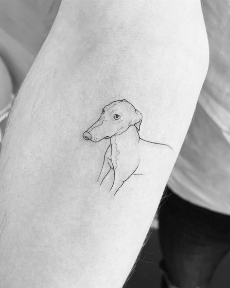 Greyhound tattoos | tattoos by category Greyhound Tattoo Ideas, Breeze Tattoo, Bonnie Tattoo, Whippet Tattoo, Maverick Tattoo, Lorde Tattoo, Fine Line Dog Tattoo, Greyhound Illustration, Greyhound Tattoo