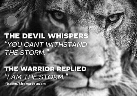 Lion Quotes, Warrior Quotes, Lion Of Judah, A Lion, The Devil, A Quote, The Words, Great Quotes, Islamic Quotes