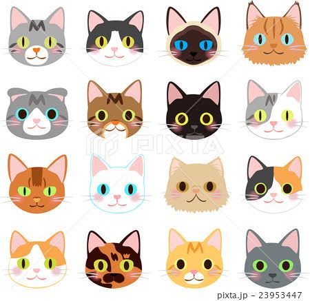 Yorkie Painting, Cat Face Drawing, Emotion Faces, Cat Faces, 강아지 그림, Face Icon, Face Illustration, Clay Diy Projects, Hello Kitty Drawing