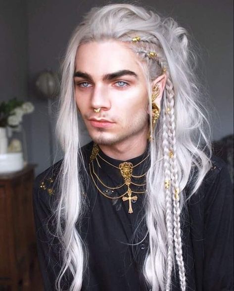 20 Ideal Hairstyles for Men with White Hair – HairstyleCamp Nils Kuiper, Elven Hairstyles, White Hair Men, Elf Hair, Long White Hair, Crazy Costumes, Viking Hair, Fantasy Hair, Hair Reference