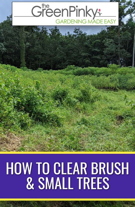 Clearing Brush, Smart Method, Land Clearing, Farm Plans, Yard Waste, Top Soil, Yard Work, Backyard Makeover, How To Buy Land