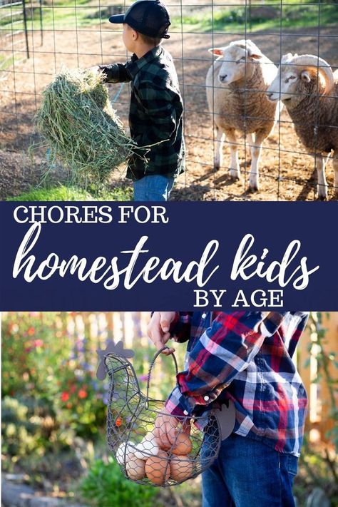 Daily Chicken Chores, Dream Farm Life, Homestead Market, Hobby Farms Layout, Starting A Farm, Farm Hacks, Homesteading Diy, Farm Plans, Daily Chores