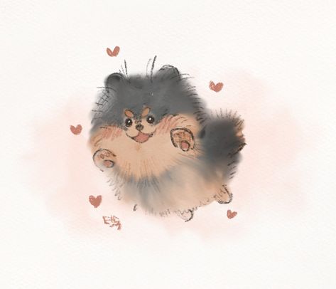 Pomeranian Doodle, Pomeranian Dog Drawing, Pomeranian Drawing, Pomeranian Art, Cartoon Dog Drawing, White Pomeranian Puppies, Cute Dog Drawing, Pom Dog, Puppy Drawing