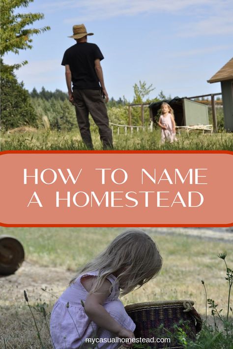 Farm Names Unique, Homestead Names Ideas, Homestead Names, Farm Names Ideas, Farm Name Generator, Farm Names, Acre Homestead, Homestead Farm, Vegetable Farming