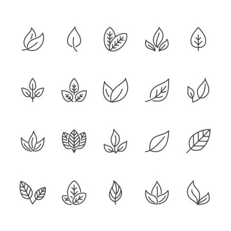 Small Nature Tattoo, Leave Logo, Garden Stickers, Mushroom Snail, Nature Icon, Landscape Logo, Magnolia Leaf, Tea Logo, Plant Icon