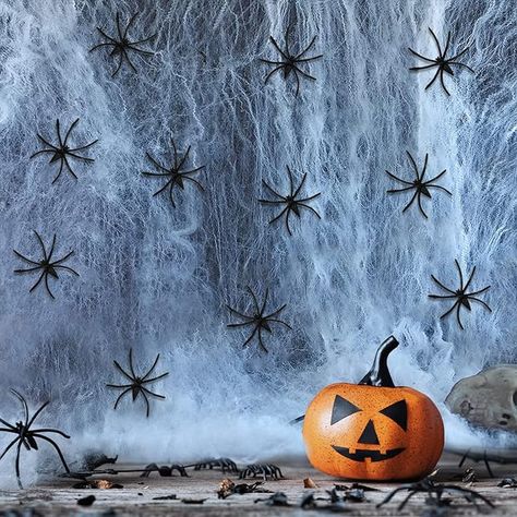 An Amazons Choice, Classic Halloween Decoration Spider web is one of the easiest ways to add Halloween spookiness to your house or party. Combine with other Halloween party decorations and party supplies, it will make it even more perfect! Halloween Cobwebs, Haunted House Halloween Party, Fake Spider, Spider Web Decoration, Halloween Spider Decorations, Haunted House Decorations, Party Setup, Halloween Spider Web, Halloween Party Supplies