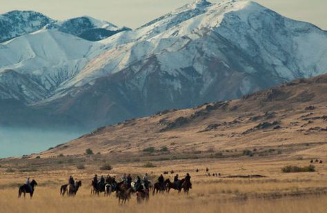 Antelope Island State Park | Salt Lake Hotels, Restaurants, Vacation Planning | Visit Salt Lake Antelope Island Utah, Utah Parks, Great Date Ideas, Utah State Parks, Antelope Island, Lake Hotel, Camping Inspiration, Utah State, Utah Travel