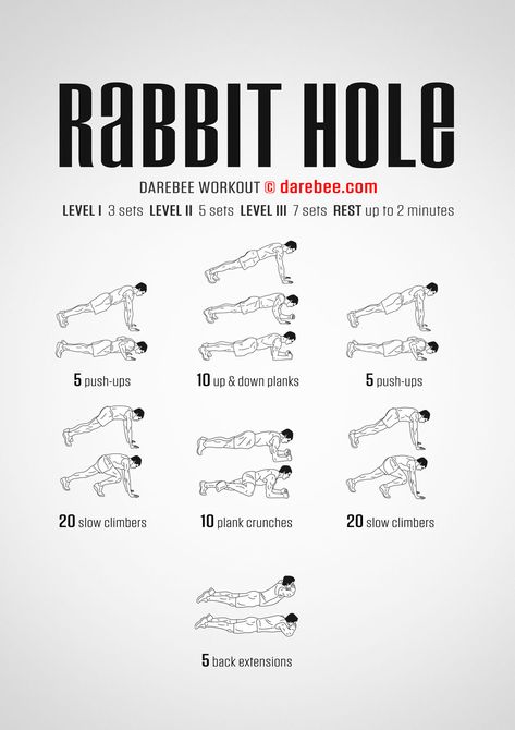 Rabbit Hole Workout Therian Workout, Up Down Plank, Strength Building Workouts, Calisthenics Workout For Beginners, Army Workout, 75 Hard, Body Exercises, Calisthenics Workout, Workout Chart