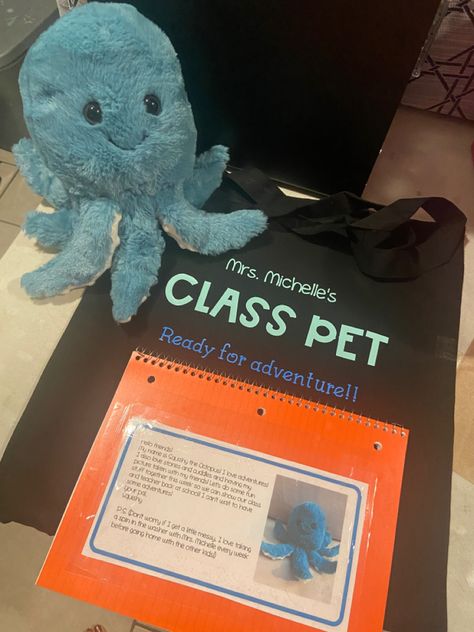 Class Pet Stuffed Animal Preschool, Class Stuffed Animal Pet Ideas, Classroom Pet Stuffed Animal, Class Pet Stuffed Animal, Classroom Responsibilities, Class Pets, Classroom Pets, Prek Ideas, Class Pet