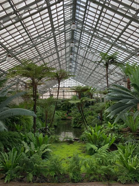 Garfield Park Conservatory, Victorian Greenhouses, Conservatory Greenhouse, Conservatory Garden, Inspiration Nature, Virtual Travel, Garden Greenhouse, Greenhouse Gardening, March 7