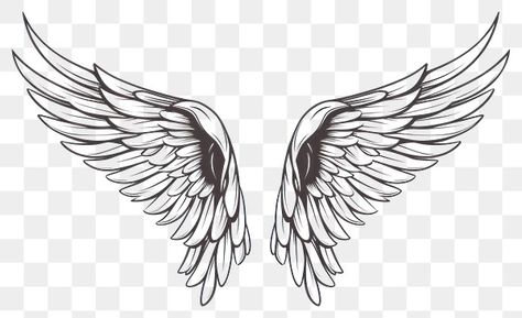 Angel Wings Sketch, Feather Png, Png Angel, Angel Wings Png, Wings Sketch, Angel Wings Drawing, Wings Png, Png Illustration, Wings Drawing