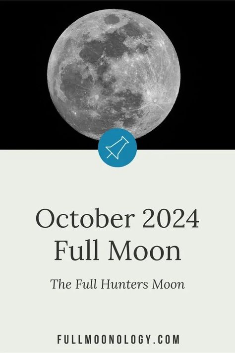 Information about the full moon in October 2024, also called the Full Hunter's Moon Hunters Moon 2024, Full Moon October 2024, October Full Moon, Fool Moon, Hunters Moon, Full Moon Tarot, Moon Hunters, Moon Date, Autumnal Equinox