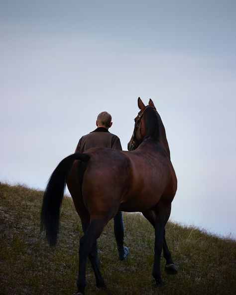 Bhoof aims to be a driving force of combining horse welfare and high-level equestrian sport for the future. #Bhoof Driving Force, Equestrian Sports, High Level, Equestrian, The Future, Force, Horses, Pins, On Instagram