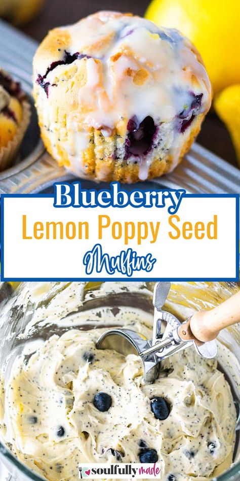 These bakery-style blueberry lemon poppy seed muffins are fluffy, moist, and loaded with bright lemon and fruity blueberry flavor! Lemon Poppy Muffins, Paleo Muffin Recipes, Poppy Seed Muffin Recipe, Lemon Poppy Seed Muffins Recipe, Lemon Muffin Recipes, Poppyseed Muffins, Lemon Poppy Seed Muffins, Muffin Flavors, Seed Muffins